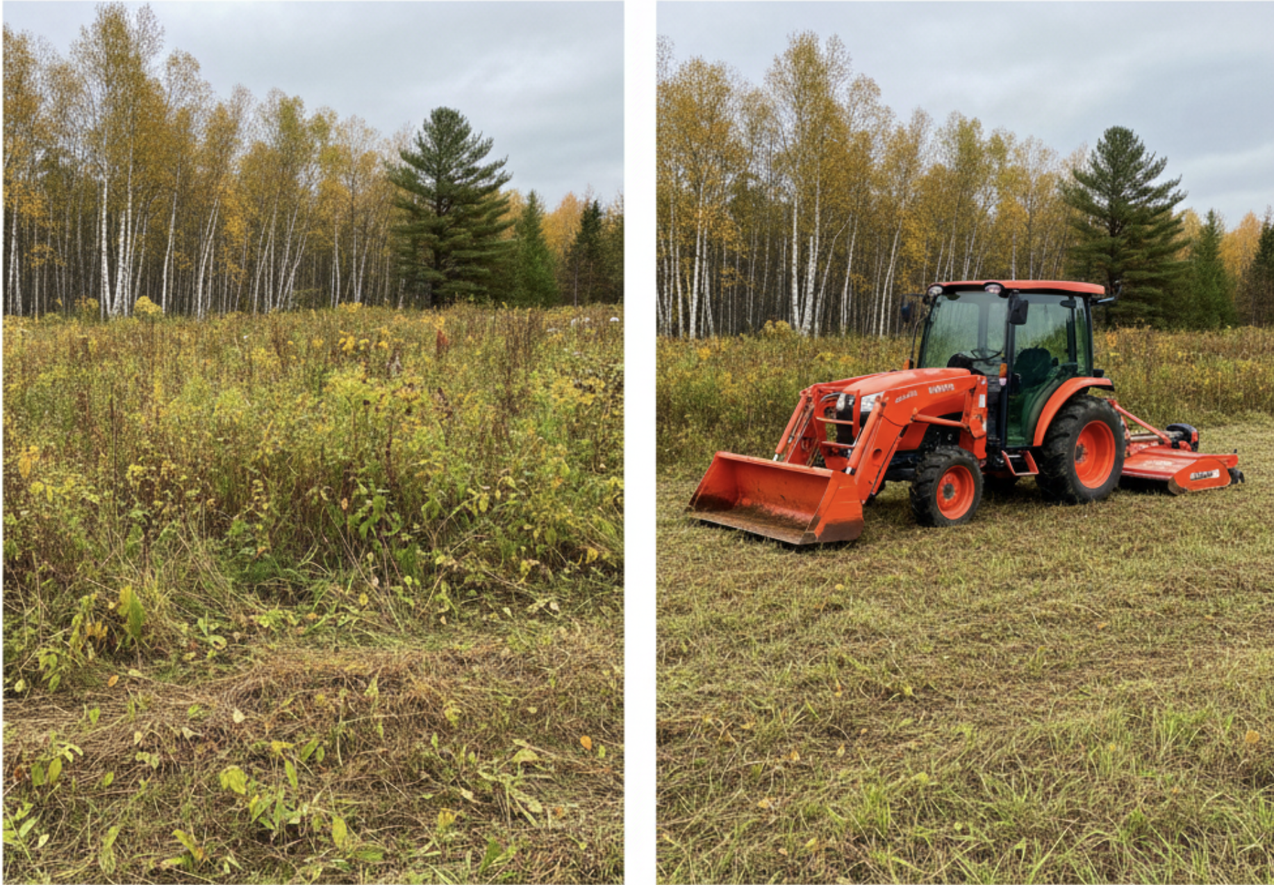 Brush Hogging